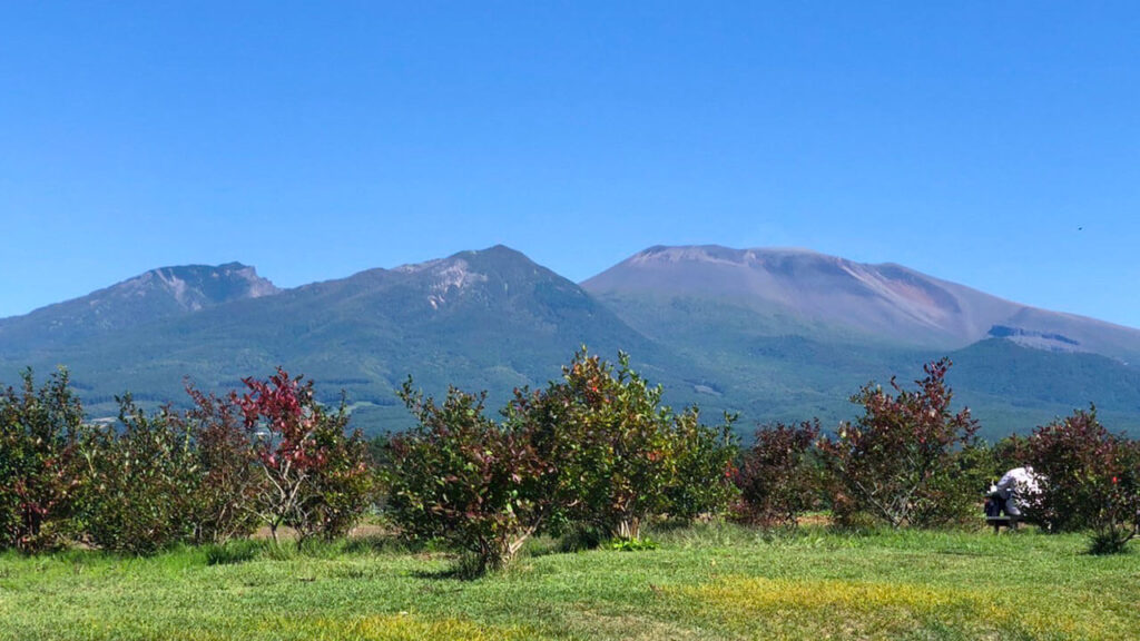 ココラデ　御代田店【長野県 北佐久郡 御代田町】パン屋