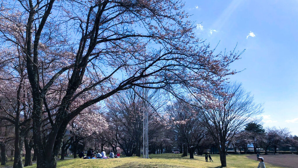 雪窓公園（せっそうこうえん）【長野県 北佐久郡 御代田町 御代田】