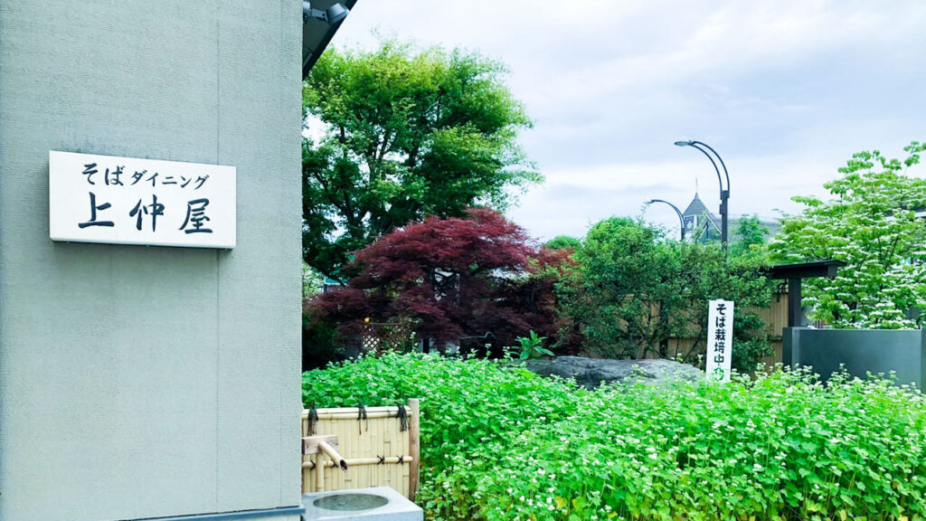 【長野県 北佐久郡 御代田町】そばダイニング上仲屋